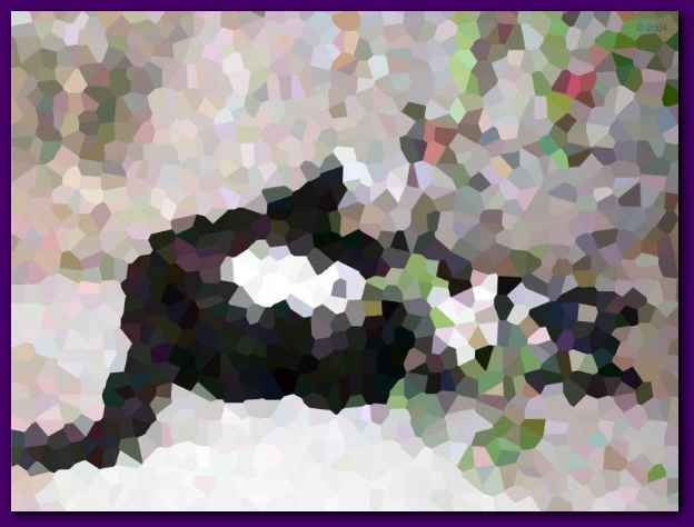604x453 pixels (24K)