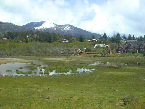 500x375 pixels (20K)